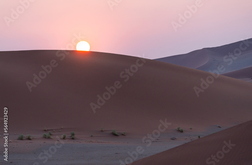 Sand dunes in front of the sun at sunset in Namibia, Africa.