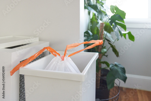 Trash bag in the kitchen