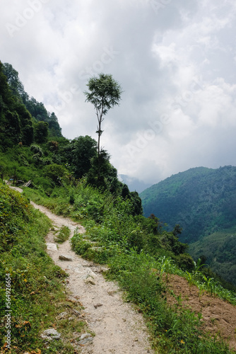 beautiful trekking path close to the Himalayas in the Annapurnas circuit in Nepal  photo