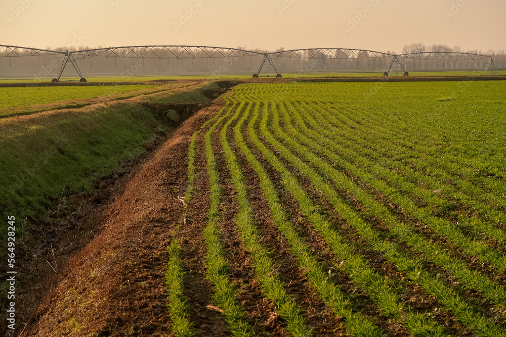 Agricoltura irrigazione tubi campo Pianura Padana - obrazy, fototapety, plakaty 