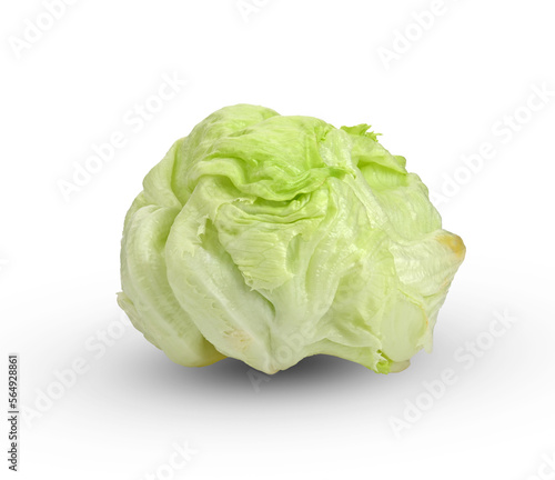 Green Iceberg lettuce on White Background.