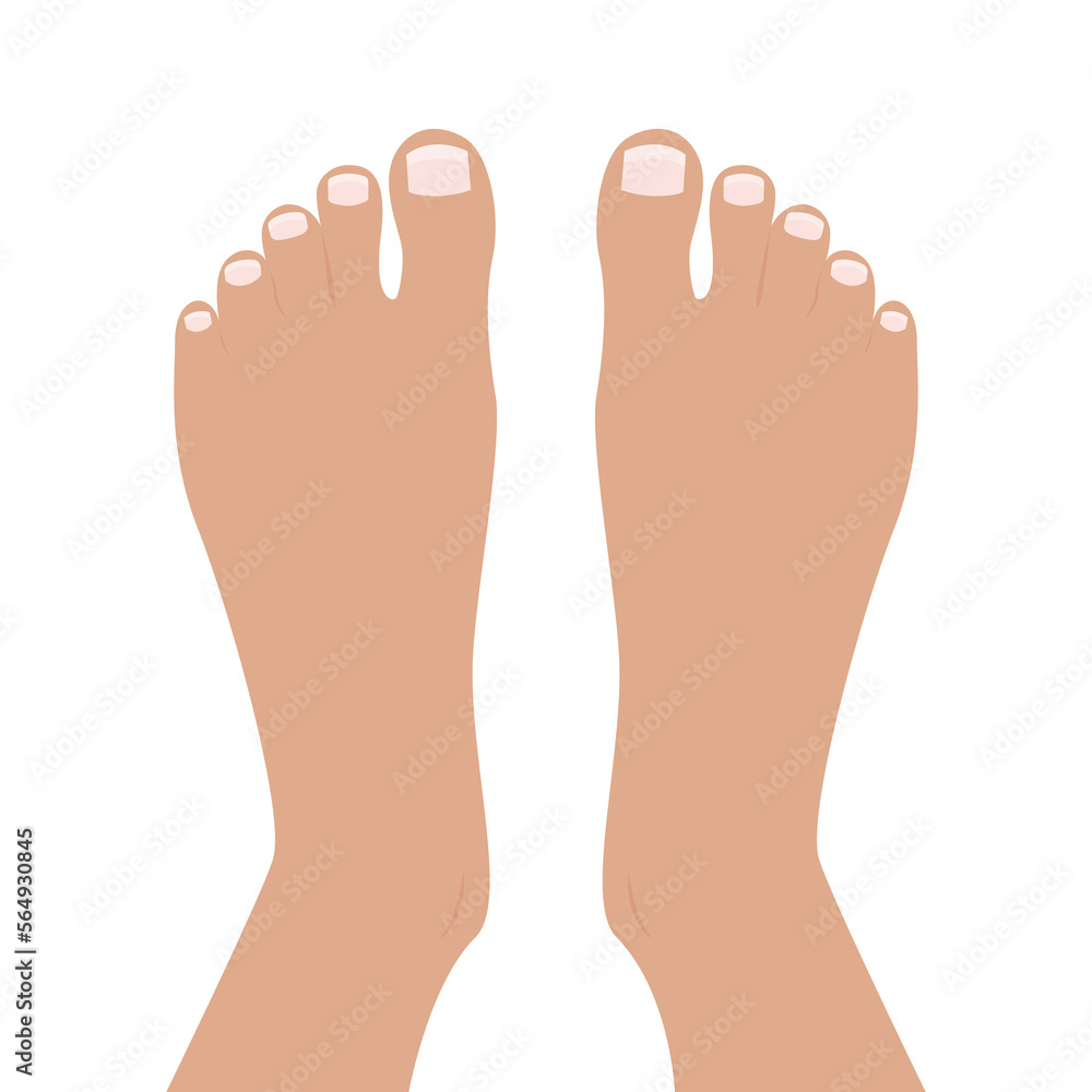 Top of Feet Foot vector illustration graphic cartoon Top of Feet Foot vector illustration graphic cartoon
