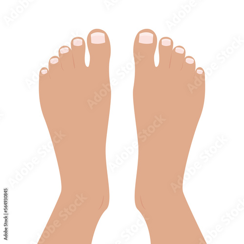 Top of Feet Foot vector illustration graphic cartoon