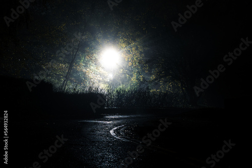 A bright light silhouetting trees at night photo