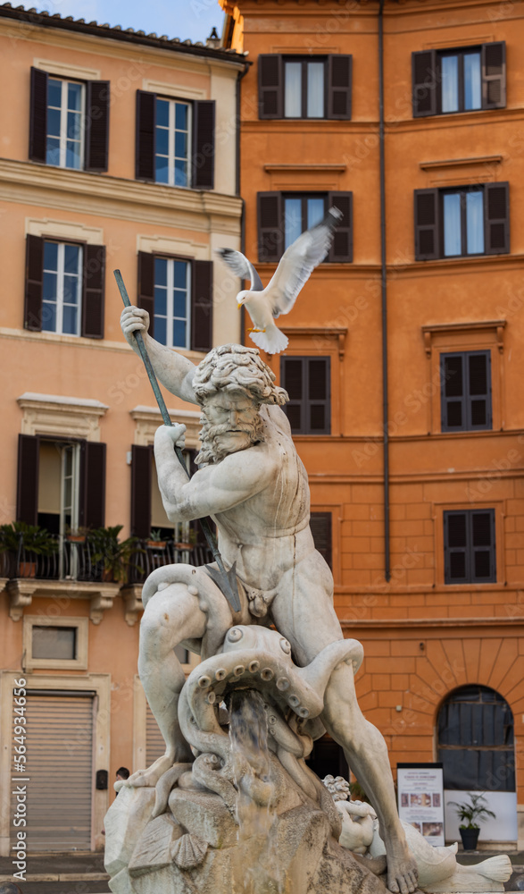 Seagulls over Neptune fountain in Piazza Navona of Rome Seagulls over Neptune fountain in Piazza Navona of Rome