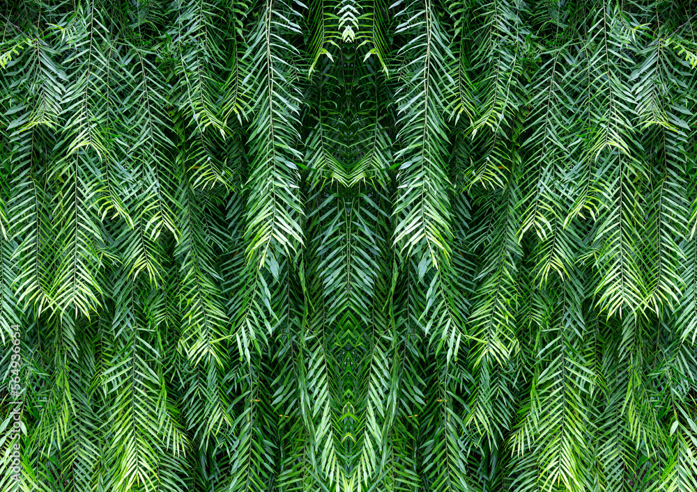 Green leaves background or texture. Abstract nature pattern and texture for design.