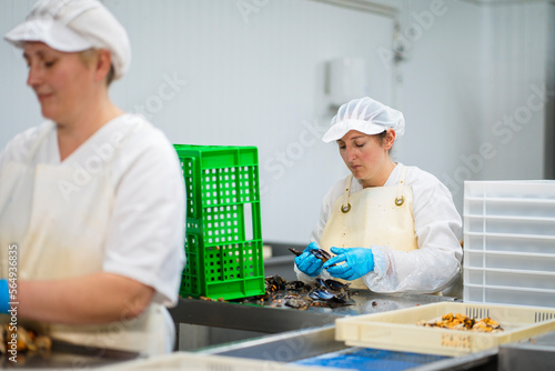 Employees working in mussel canning company photo