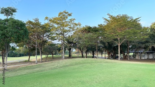 골프장 GOLF fairway 패어웨이
