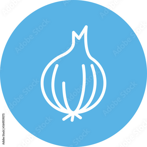 Onion Vector Icon
