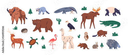 Wild animals set. North and South American fauna. America wildlife  mammals species. Exotic crocodile  llama  porcupine  raccoon  tapirus and elk. Flat vector illustration isolated on white background