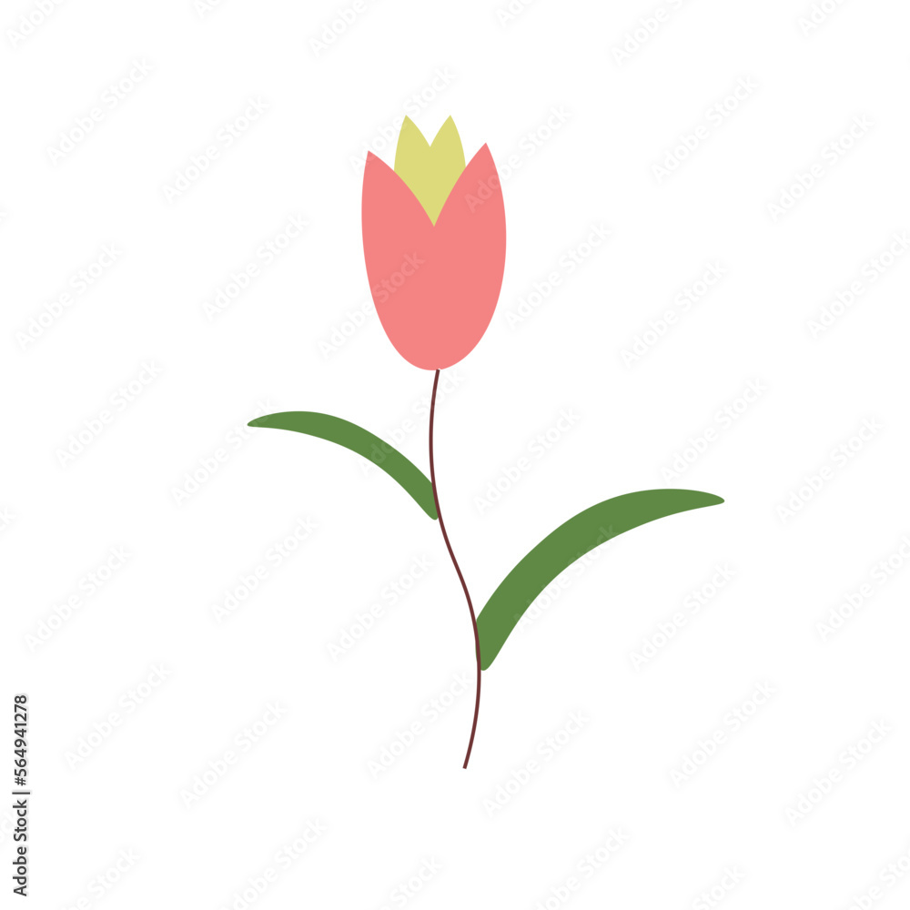 Tulip Element Tulip Element