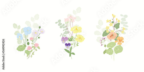 watercolor arrangements with small flower. Botanical illustration minimal style.