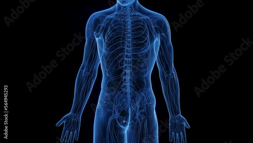 Wallpaper Mural 3D rendered medical animation of a nerve scan Torontodigital.ca