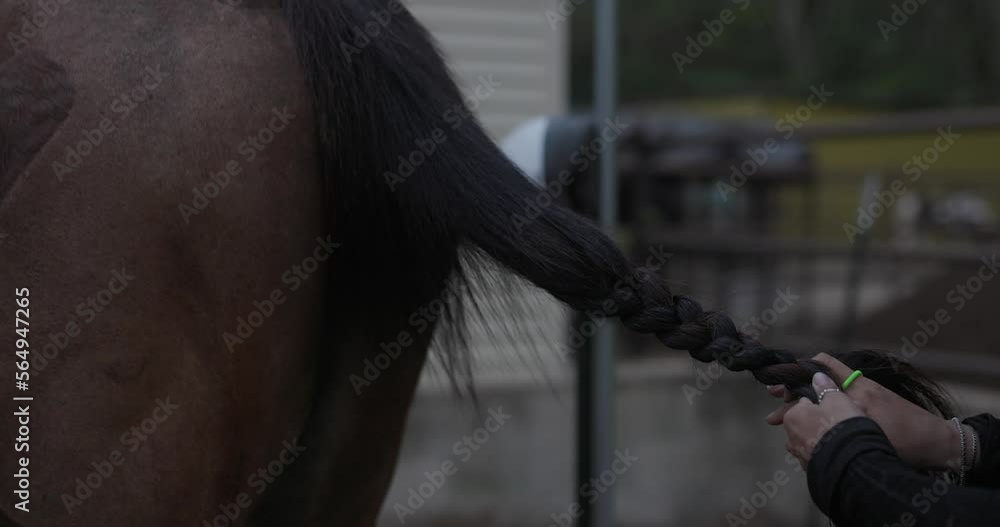 Girl wash horse in farm stables Girl wash horse in farm stables