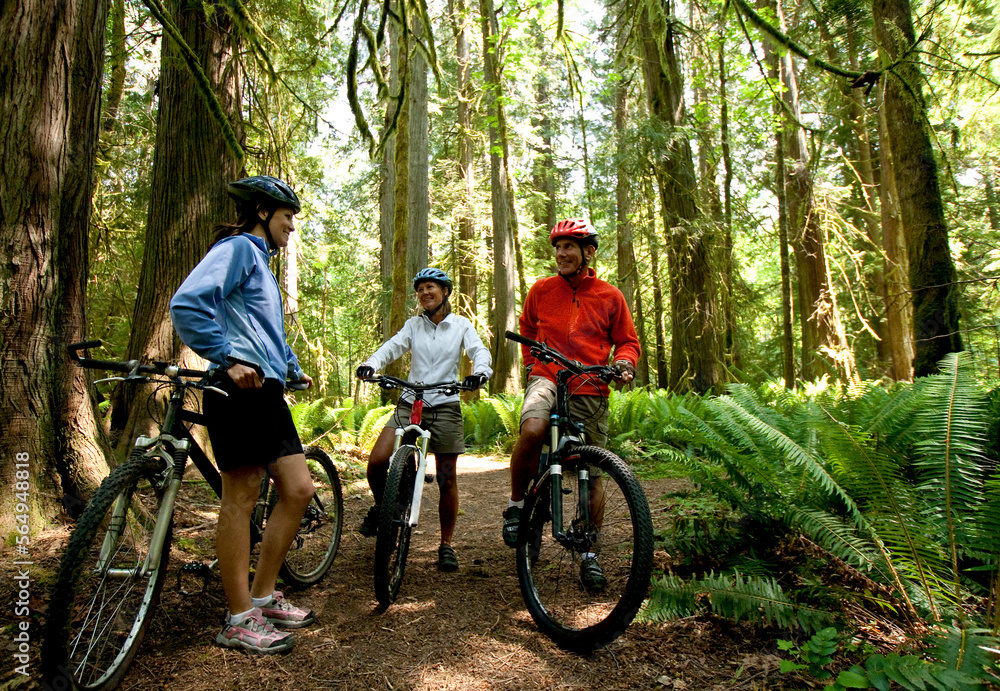 A group of three mountain bikes stop for a break while riding through a thick forest. A group of three mountain bikes stop for a break while riding through a thick forest.