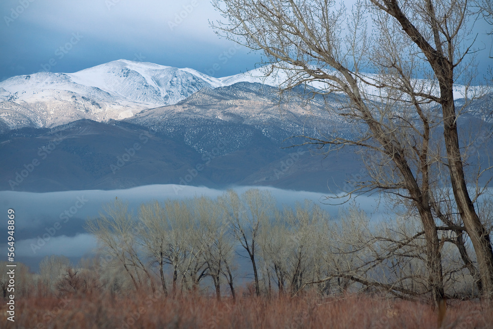 Trees and grass in foreground with large mountains in background. Trees and grass in foreground with large mountains in background.