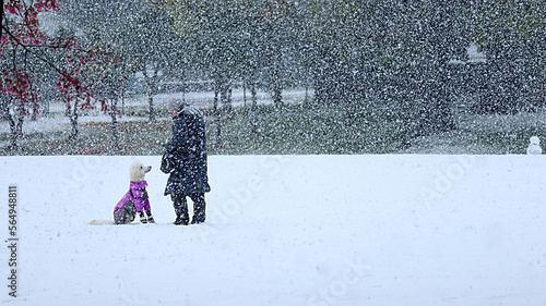 雪の公園で愛犬と散歩