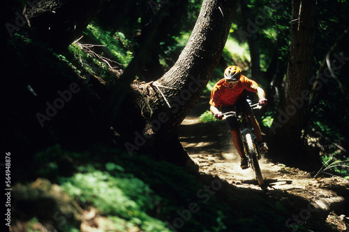 mountain biker on a single track trail in the forest quickly riding through a patch of sun