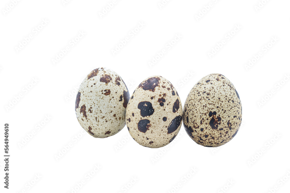 Isolated quail eggs. Png file Isolated quail eggs. Png file