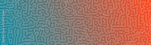 Turing reaction colorful background