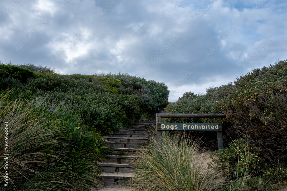 pambula beach