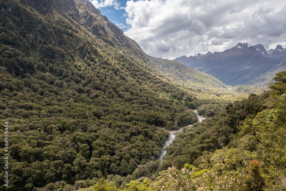 Fototapeta premium Hollyford Valley in New Zealand