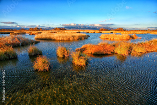 A general view of the national park of Las Tablas de Daimiel is pictured in Ciudad Real.