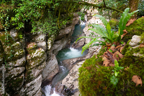 Canyon White cliffs in Sochi