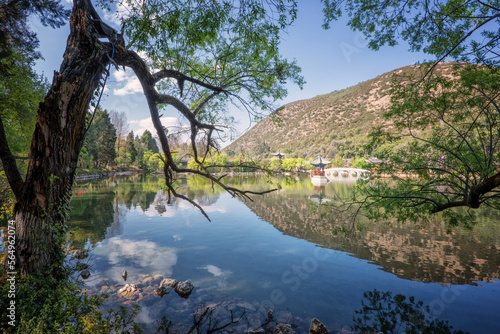 Black Dragon Pool - Under the Canopy (LiJiang, Yunnan) photo