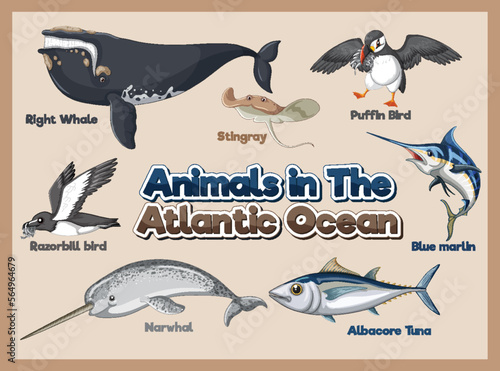Set of Animals in the Atlantic Ocean