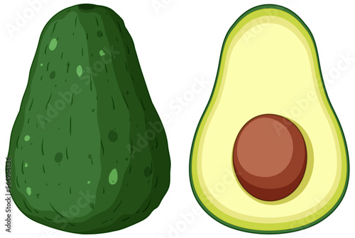 Whole of avocado and half of avocado