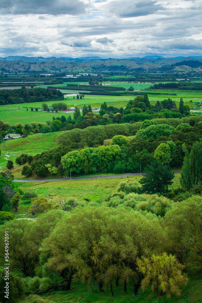 Breathtaking New Zealand Landscape with farmland and green rolling hills under cloudy sky. High vantage point. Greys Hill Lookout, Gisborne, North Island, New Zealand