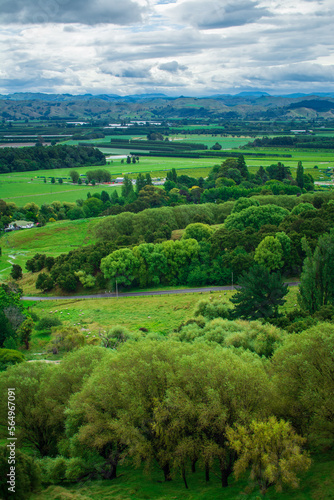 Breathtaking New Zealand Landscape with farmland and green rolling hills under cloudy sky. High vantage point. Greys Hill Lookout  Gisborne  North Island  New Zealand