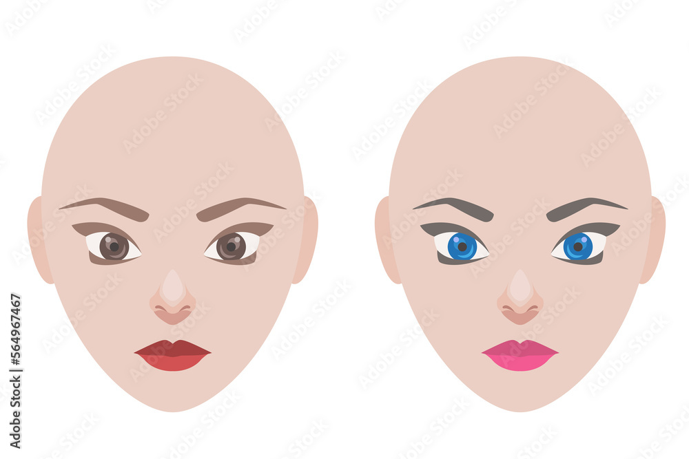 Woman portrait. Woman head without hair. Model for hairstyle. Just add ...
