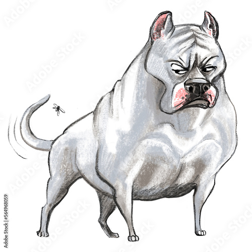 Cute dogo argentino dog character funny cartoon illustration