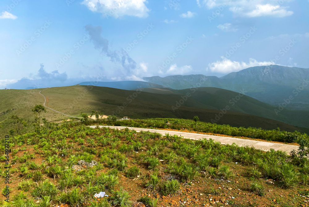 Fototapeta premium landscape in the summer