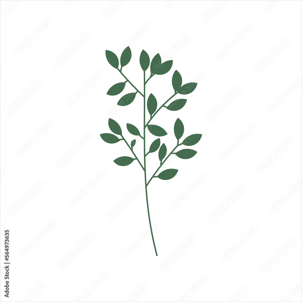 Hand Drawn Floral Decorative Elements Hand Drawn Floral Decorative Elements