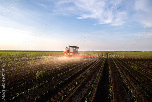 Tractor spraying corn field in sunset