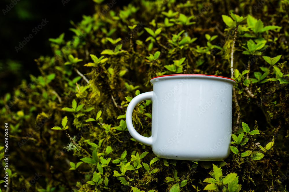Obraz premium Enamel mug laying out on the of some small plants