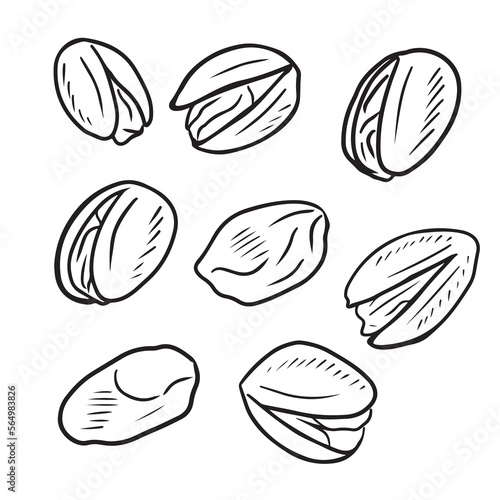 Set of separate realistic pistachios nuts in black on white background. Hand drawn vector sketch illustration in outline vintage engraved style. Salty delicious organic food nutshells, peeled