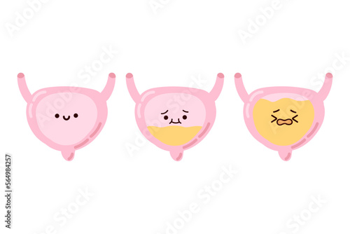 Cheerful empty bladder and sad full bladder. Cute kawaii human organs on a white background.