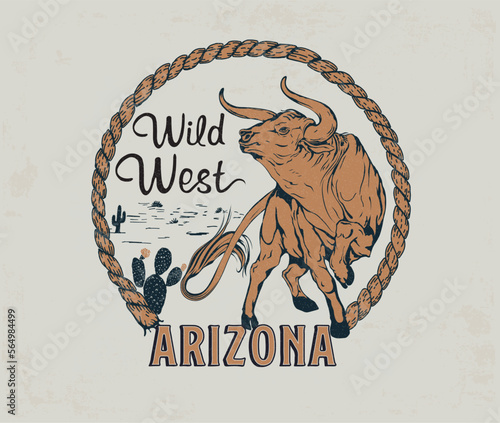 buffalo in  cactus desert vector illustration, arizona desert design, wild cow vector, western desert print design