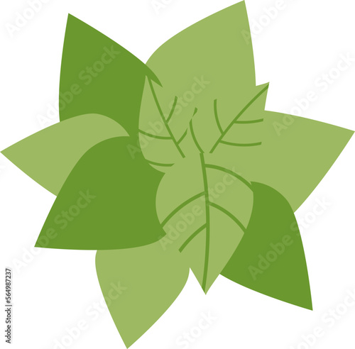 Mint cultivation flat icon Spring plant planting