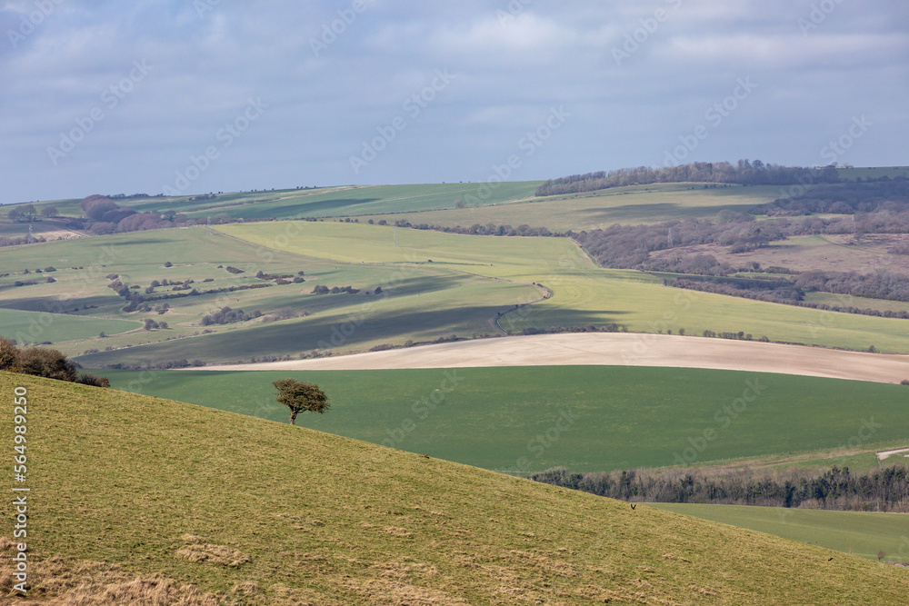 A view over fields in the SOuth Downs on a sunny early spring day