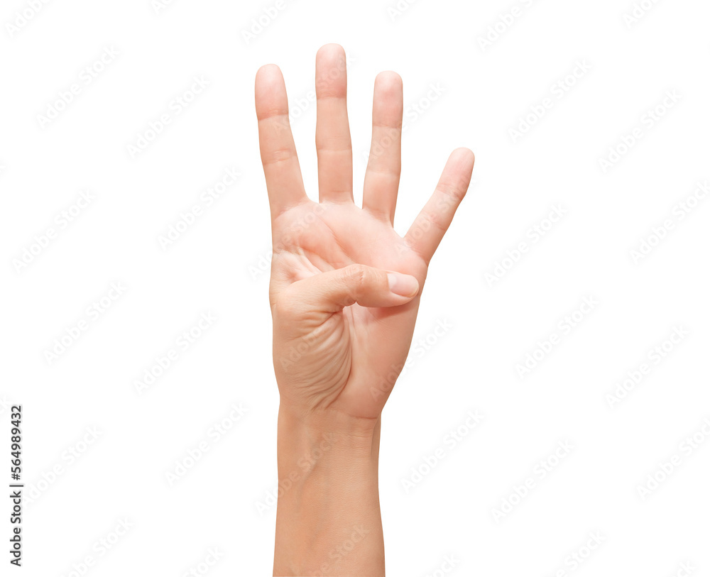 Naklejka premium Woman palm hand, four fingers pointing upwards, 4, isolated on white background with clipping path