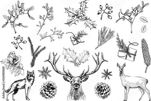 Classy Retro Christmas Collection: Various animals and botanicals. Beautifully elegant hand-drawn elements to create your own winter and holiday-themed decoration for graphic design projects such as