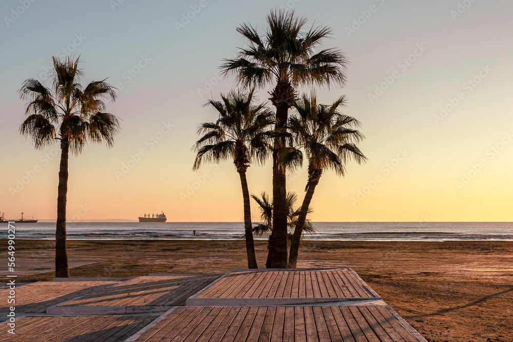 Cyprus Sunrise.Tall Palm Trees Against the Background of the Rising Sun. Orange Blue Sky. Larnaka, Cyprus. 
