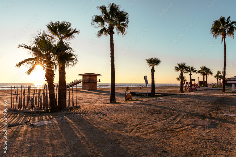 Cyprus Sunrise.Tall Palm Trees Against the Background of the Rising Sun. Orange Blue Sky. Larnaka, Cyprus. 