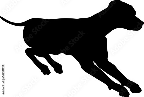 Dog Silhouette Pet Animal