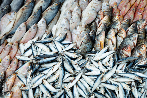 Fresh fish in traditional food market in Beirut, Lebanon. 